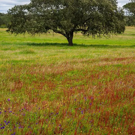 Lägenhet Pareja, Contrabando. Sanlucar Del Guadiana Sanlúcar de Guadiana